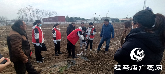駐馬店市林業(yè)局開展送科技下鄉(xiāng)志愿服務(wù)活動
