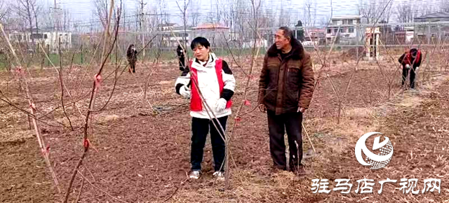 駐馬店市林業(yè)局開展送科技下鄉(xiāng)志愿服務(wù)活動