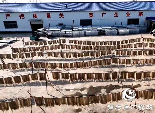 平輿縣雙廟鎮(zhèn):小紅薯做強(qiáng)大產(chǎn)業(yè)