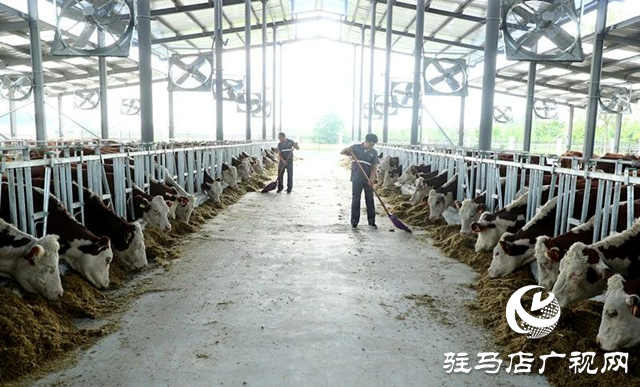 正陽縣:“黨建+”賦能鄉(xiāng)村產(chǎn)業(yè)發(fā)展