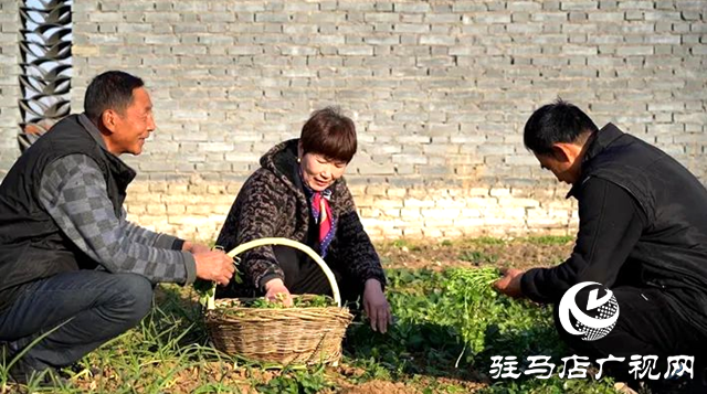 遂平縣和興鎮(zhèn):凝聚鄉(xiāng)賢力量 培樹(shù)文明鄉(xiāng)風(fēng)