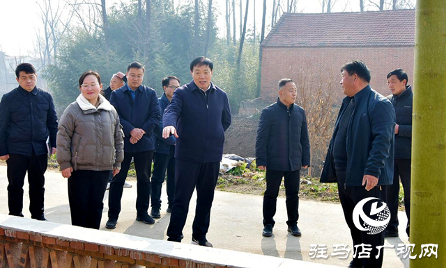 平輿縣縣委書記劉飛到陽(yáng)城鎮(zhèn)開展&ldquo;四大攻堅(jiān)日&rdquo;活動(dòng)