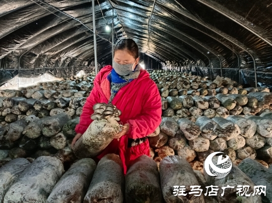 正陽縣:“五星”聚心 打造宜居宜業(yè)和美鄉(xiāng)村