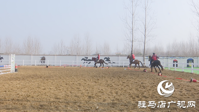 在外發(fā)展有成 積極回鄉(xiāng)創(chuàng)業(yè)&mdash;&mdash;王士杰和他的騎士莊園