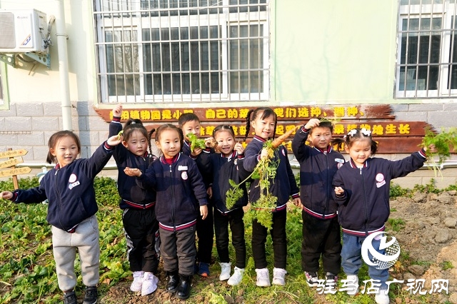 駐馬店市第二實(shí)驗(yàn)幼兒園開展區(qū)域觀摩活動(dòng)