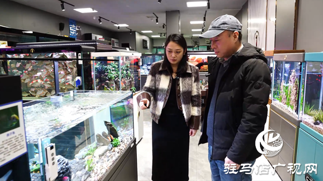 春節(jié)臨近 景觀(guān)魚(yú)缸受歡迎