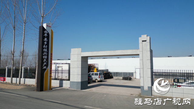 西平縣宋集鎮(zhèn)：香菇迎豐收 撐起村民&ldquo;致富傘&rdquo;