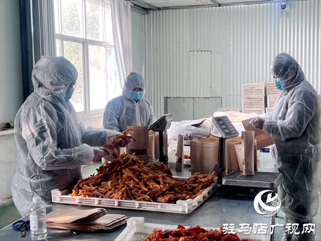 確山縣瓦崗鎮(zhèn)：小紅薯成為群眾增收的 &ldquo;金疙瘩&rdquo;