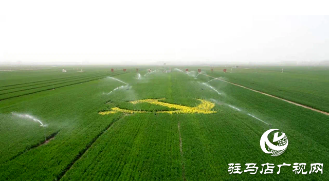 確山縣：土地流轉&ldquo;流&rdquo;出真金