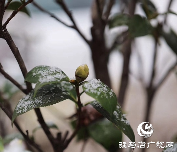 2月4日立春，農(nóng)歷又是無春年