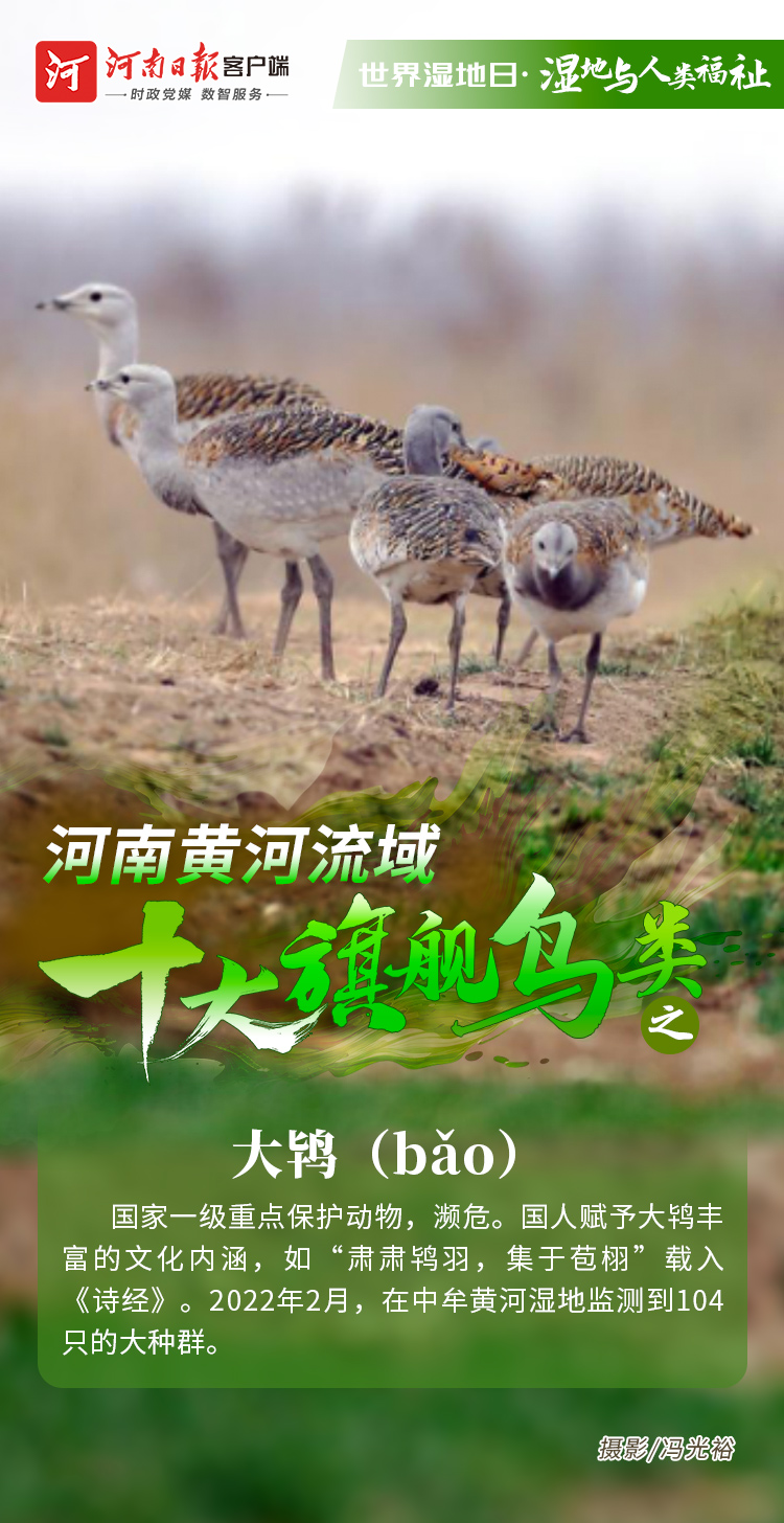 5110941599559872 9e202420697f4561494922e6c78246bb.jpg