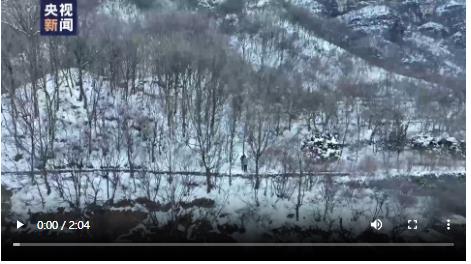 央媒觀豫丨中醫(yī)文化實力“圈粉” 河南“洋學生”愛上“望聞問切”