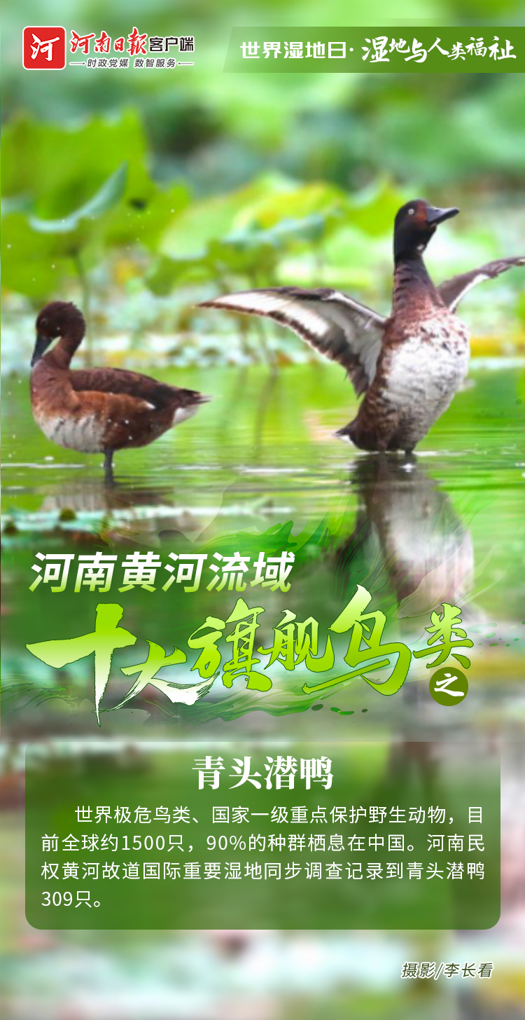 2923928128494119 58e0151343f2b246618695e4d32fccc3.jpg