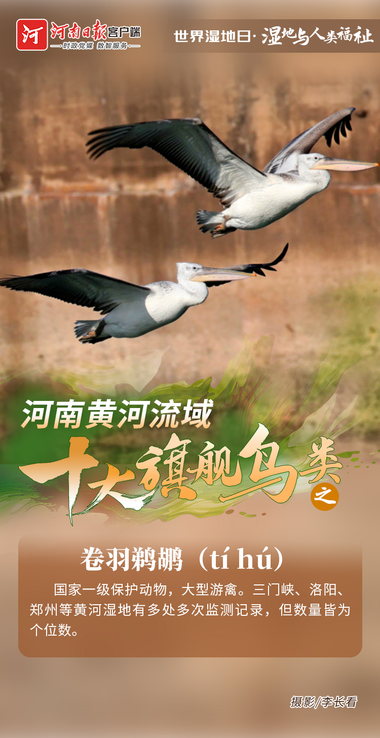 52183435517799135 eb7361f58aad8dbd5f89b9d94a359a78.jpg