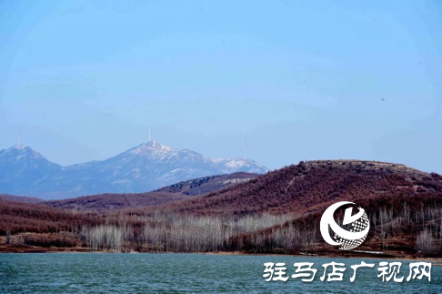 詩朗誦《銅山湖雪岸、玉樹、水鳥........絕美的一幅畫》