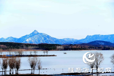 詩朗誦《銅山湖雪岸、玉樹、水鳥........絕美的一幅畫》