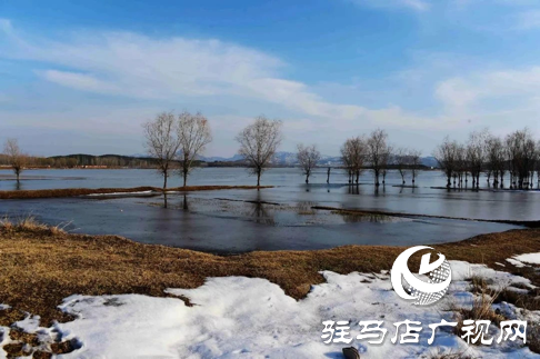 詩朗誦《銅山湖雪岸、玉樹、水鳥........絕美的一幅畫》