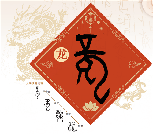 80246653223194735 hnrb_20240207063730936.jpg