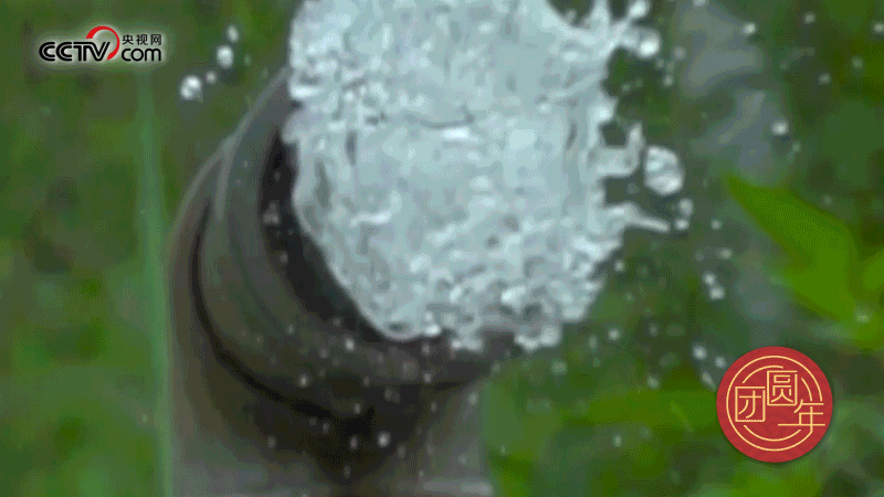 團(tuán)圓年|幸福之水進(jìn)萬(wàn)家