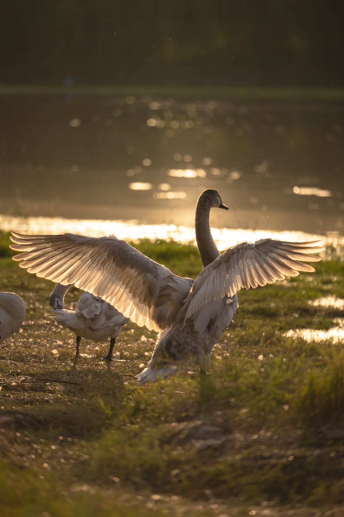 剪畫(huà)四季丨雨水：微雨池塘見(jiàn) 好風(fēng)襟袖知