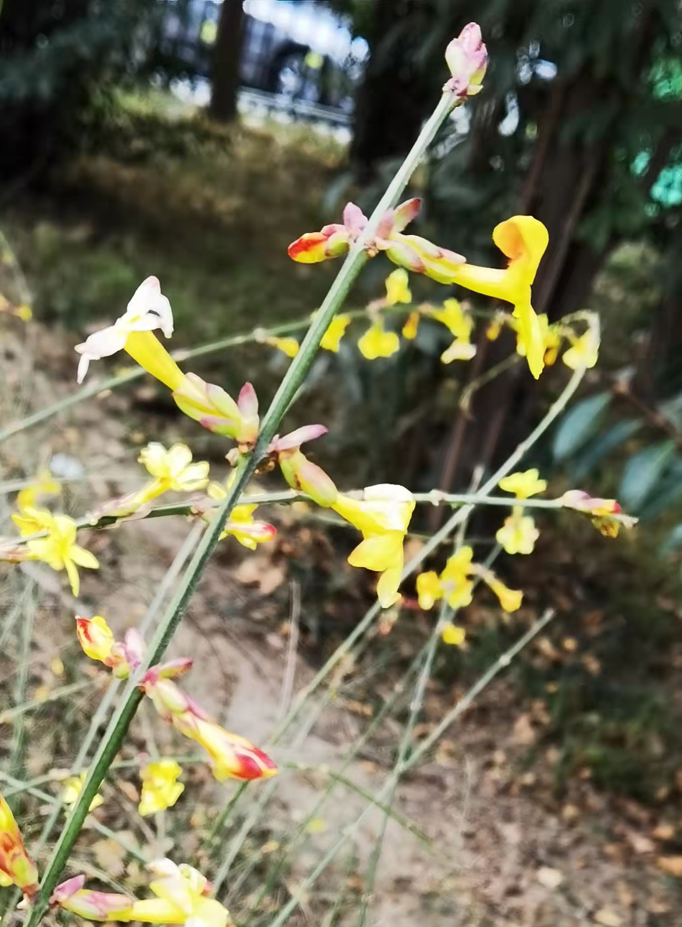 剪畫(huà)四季丨雨水：微雨池塘見(jiàn) 好風(fēng)襟袖知