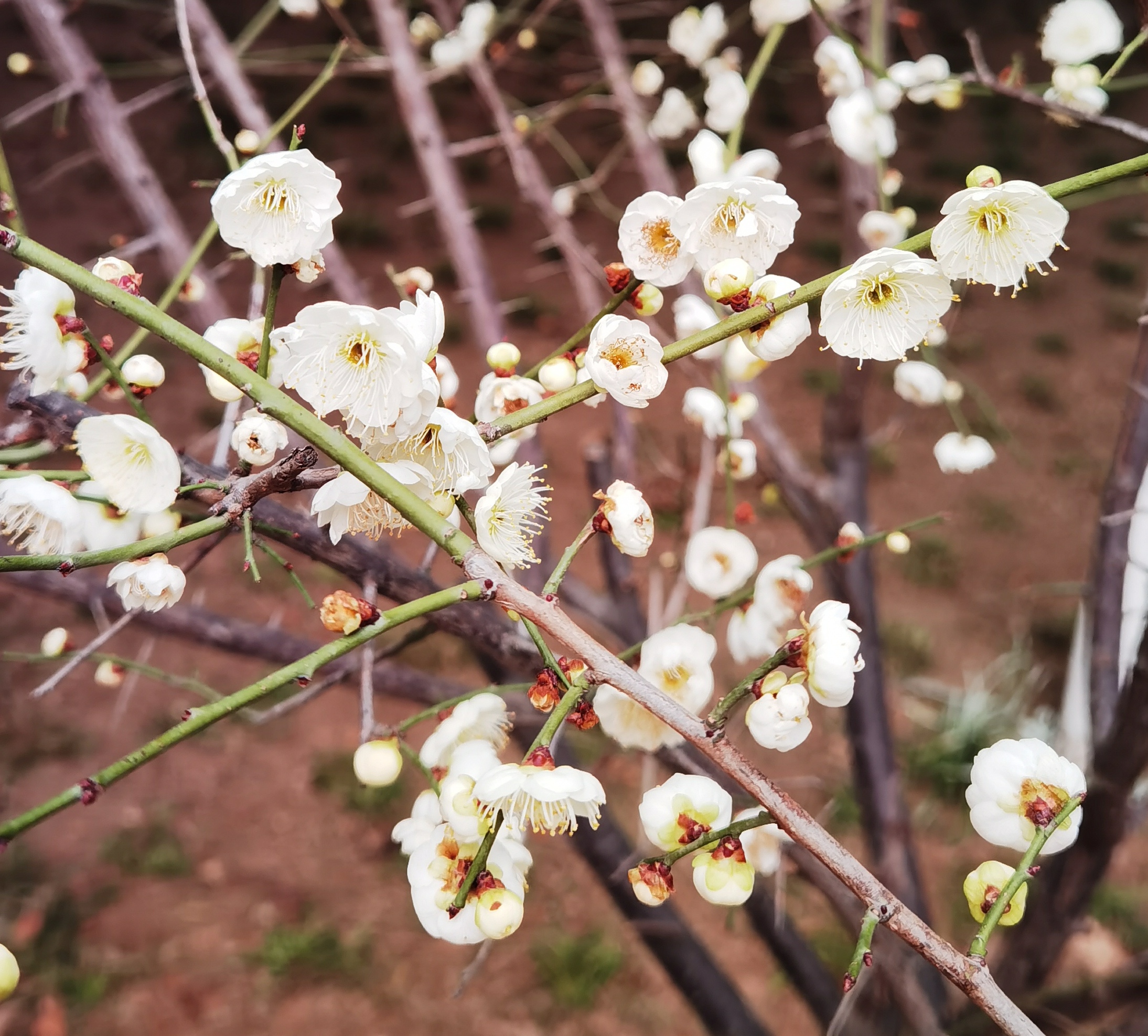 剪畫(huà)四季丨雨水：微雨池塘見(jiàn) 好風(fēng)襟袖知