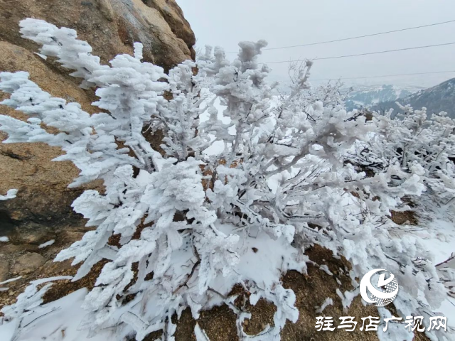 美呆了！羅漢山開啟雪凇、霧凇雙景齊現(xiàn)模式