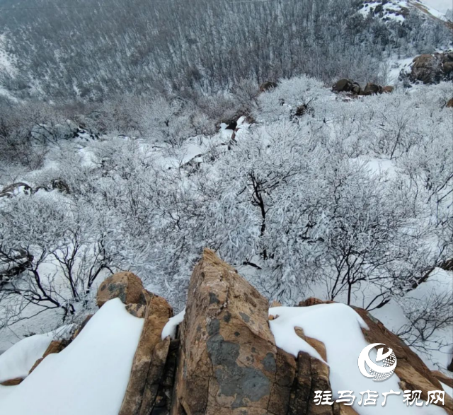 美呆了！羅漢山開啟雪凇、霧凇雙景齊現(xiàn)模式