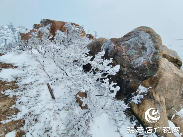 美呆了！羅漢山開啟雪凇、霧凇雙景齊現(xiàn)模式