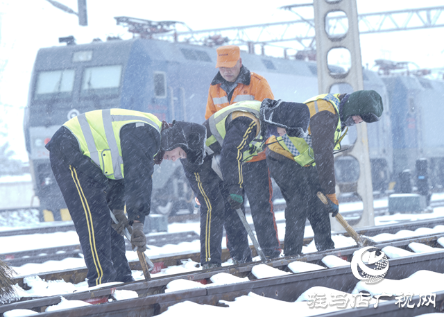 雪下的還是那么&ldquo;任性&rdquo;