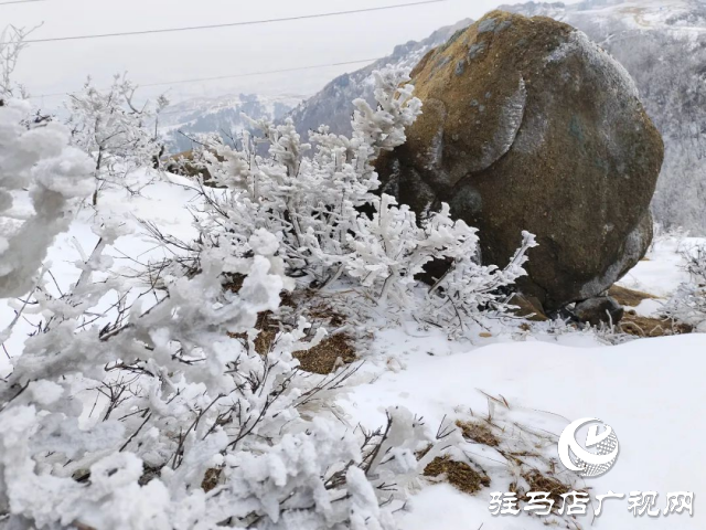 美呆了！羅漢山開啟雪凇、霧凇雙景齊現(xiàn)模式