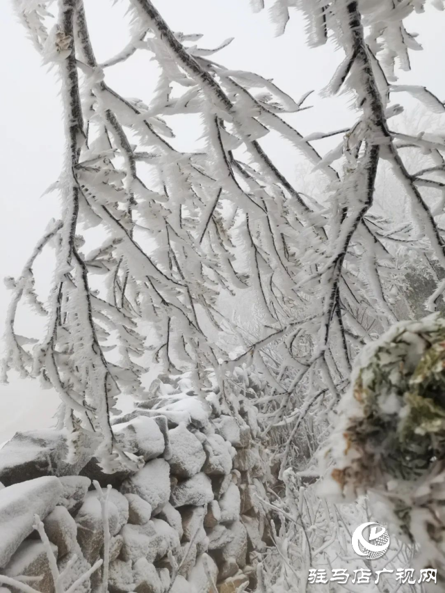 美呆了！羅漢山開啟雪凇、霧凇雙景齊現(xiàn)模式