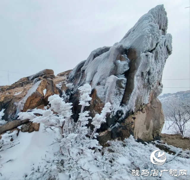 美呆了！羅漢山開啟雪凇、霧凇雙景齊現(xiàn)模式