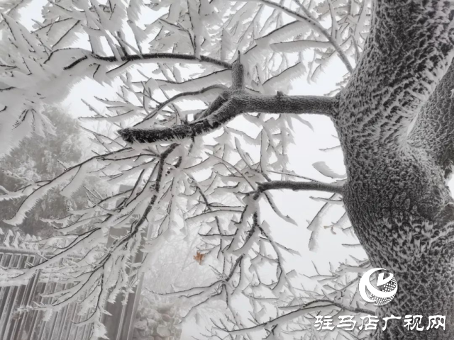 美呆了！羅漢山開啟雪凇、霧凇雙景齊現(xiàn)模式