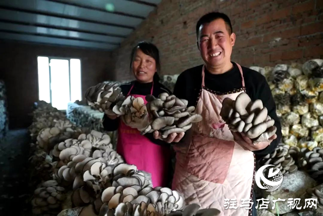 正陽(yáng)縣:“產(chǎn)業(yè)引擎”驅(qū)動(dòng)“五星”支部創(chuàng)建加速