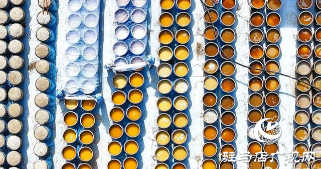 正陽(yáng)縣:“產(chǎn)業(yè)引擎”驅(qū)動(dòng)“五星”支部創(chuàng)建加速