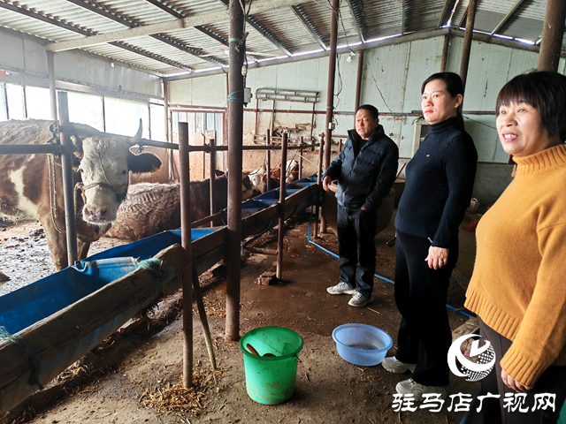 平輿縣玉皇廟鄉(xiāng):小額信貸 “貸”動(dòng)鄉(xiāng)村振興