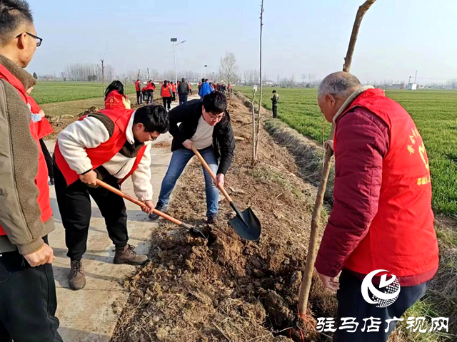確山縣普會寺鎮(zhèn)：&ldquo;植&rdquo;此青綠，共赴春光