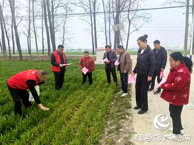 平輿縣科技小院專家組開(kāi)展科技志愿服務(wù)活動(dòng)