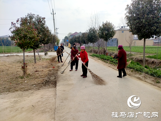 平輿縣十字路鄉(xiāng)：人居環(huán)境整治持續(xù)發(fā)力 促進(jìn)&ldquo;生態(tài)宜居星&rdquo;再提升
