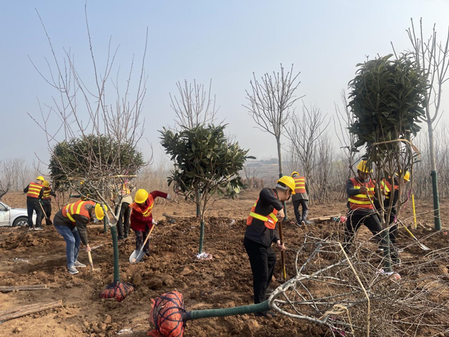 駐馬店：“高手”對決園林綠化技能大賽