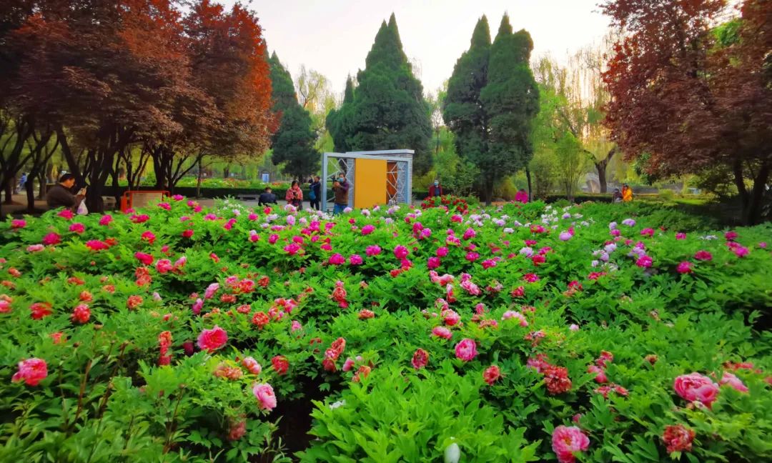 今天，洛陽向全世界發(fā)出邀請！