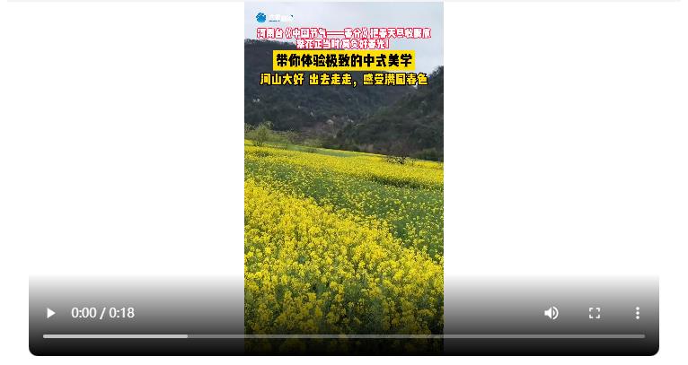 河山大好，出去走走！《中國節(jié)氣——春分》帶你體驗中式美學(xué)