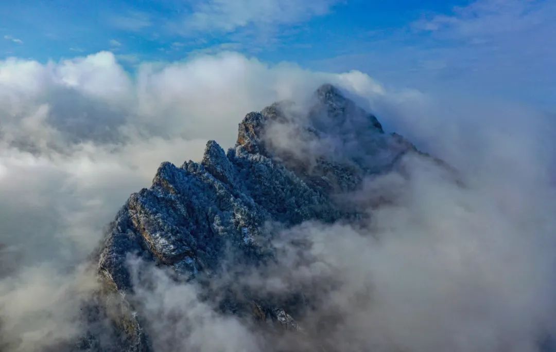 今天，洛陽向全世界發(fā)出邀請！