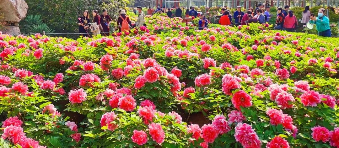 今天，洛陽向全世界發(fā)出邀請！