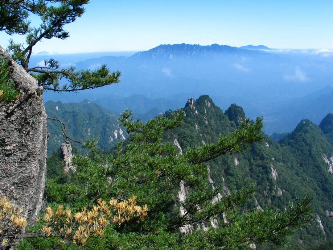 今天，洛陽向全世界發(fā)出邀請！