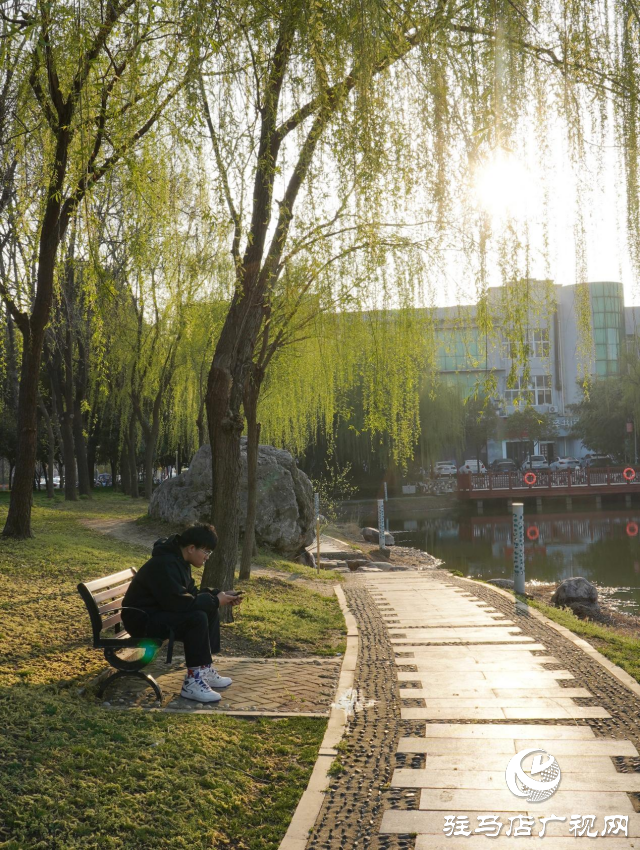 春日綻放:黃淮校園里的新生機