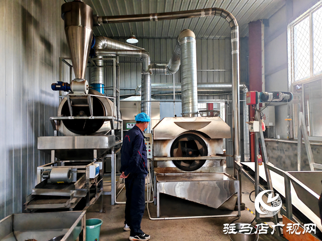 平輿縣古槐街道南陳社區(qū):發(fā)展壯大白芝麻種植和加工產(chǎn)業(yè) 加快推進共同富裕加工園建設