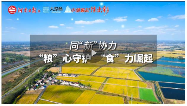 同&ldquo;新&rdquo;協(xié)力丨&ldquo;糧&rdquo;心守護，&ldquo;食&rdquo;力崛起