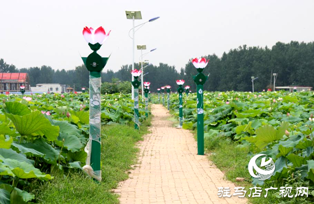 2024年全國(guó)夏季&ldquo;村晚&rdquo;示范展示點(diǎn)公布，平輿縣西洋店鎮(zhèn)西洋潭村榜上有名